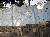 上野動物園