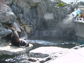 鴨川